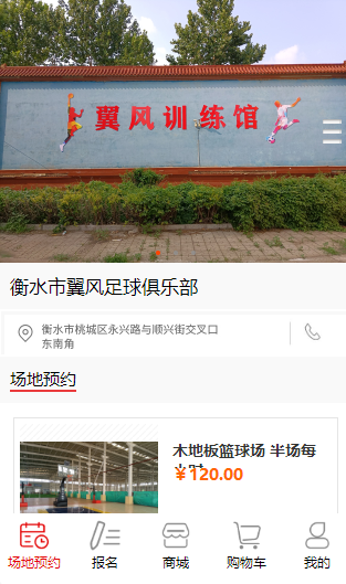 衡水市翼风足球俱乐部